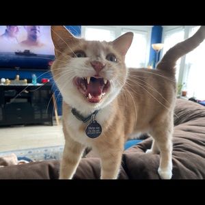 Meet your Posher, Jasmine